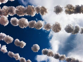 Trees against cloudy sky