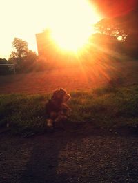 Sun shining through clouds