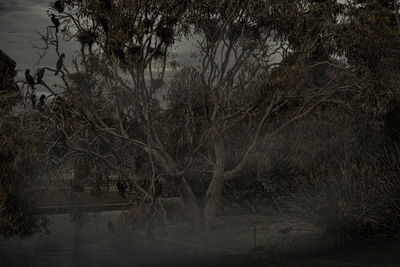 Scenic view of lake at night