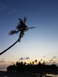 Silhouette palm tree by sea against sky at sunset