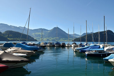 Boats moored in harbor