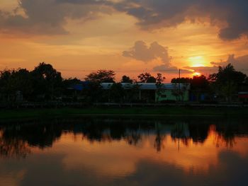 Silhouette of trees at sunset