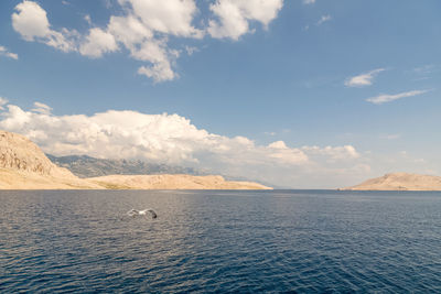 View of sea against sky