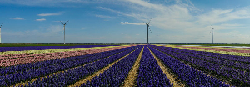 Scenic view of field against cloudy sky