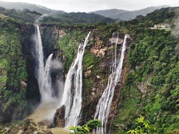 Scenic view of waterfall in forest