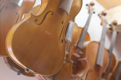 Low angle view of violins hanging in store