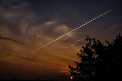 Low angle view of silhouette trees against sky at sunset