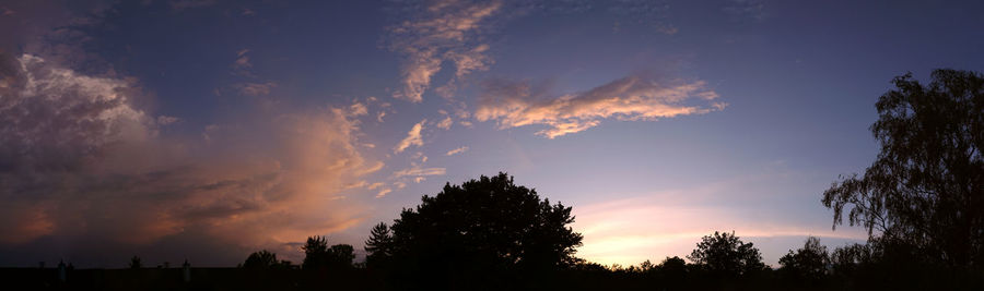 Low angle view of silhouette trees against sky during sunset