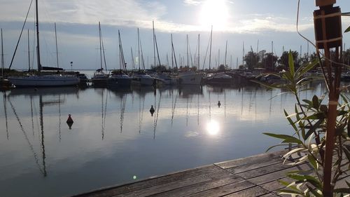 Sailboats moored at harbor