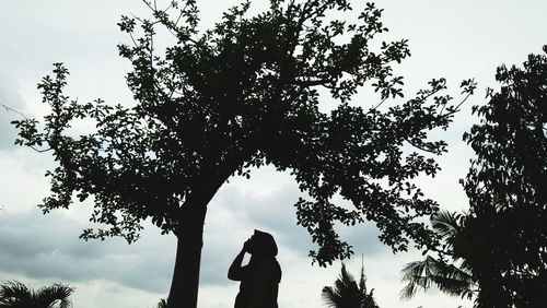 Low angle view of silhouette woman standing by tree against sky