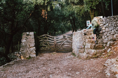 Rear view of woman on footpath amidst trees in forest