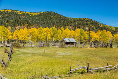 Scenic view of field against sky during autumn