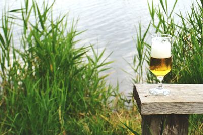 High angle view of beer glass on table in yard