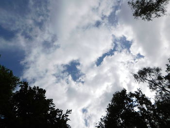 Low angle view of silhouette trees against sky