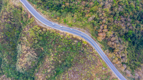 High angle view of road amidst trees