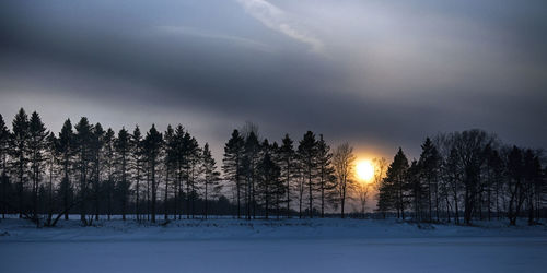 Silhouette trees on snow covered landscape against sky