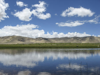 reflection