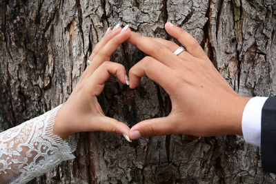 Close-up of couple making heart shape on tree