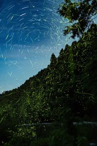 Low angle view of trees against star field