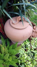 High angle view of potted plants in yard