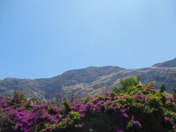 Scenic view of mountains against blue sky