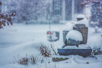 Snow covered landscape