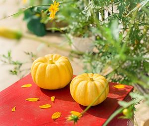 Close-up of pumpkin on table