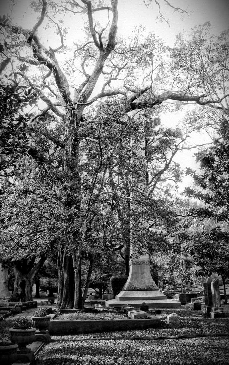 tree, built structure, architecture, branch, cemetery, bare tree, building exterior, growth, park - man made space, tombstone, religion, death, nature, history, day, tree trunk, tranquility, outdoors, travel destinations, sky