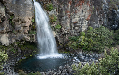 Scenic view of waterfall in forest