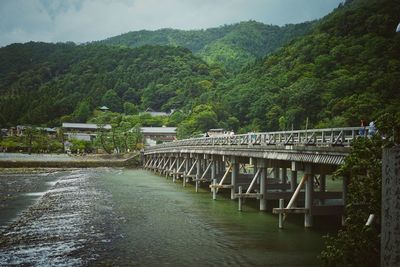 Bridge over river amidst trees