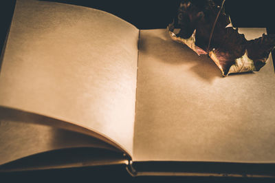 High angle view of dried leaf on open book against black background