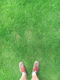 Low section of person in shoes standing on grassy field