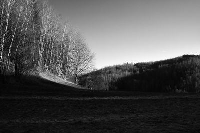 Trees on field against clear sky