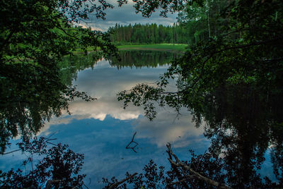 Scenic view of clouds reflecting in lake against trees at forest