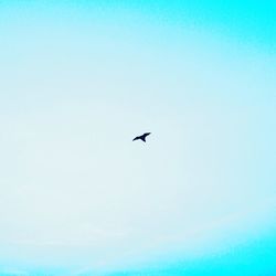 Low angle view of eagle flying against clear blue sky