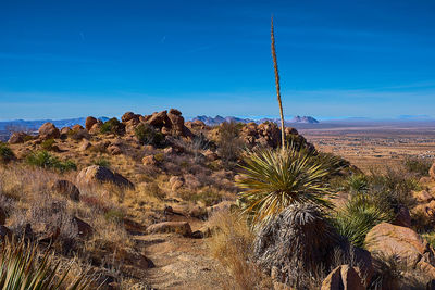 Scenic view of desert against sky