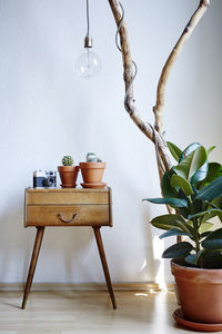 Potted plant on table at home