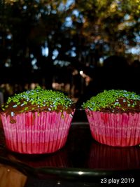 Close-up of cupcakes on table