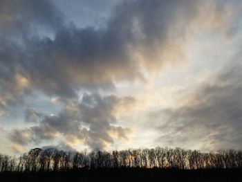 Scenic view of forest against sky during sunset