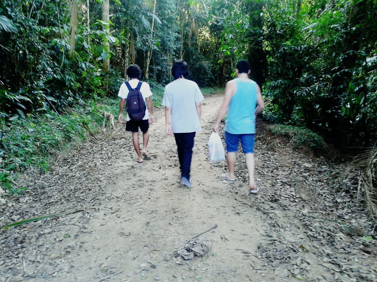 rear view, walking, togetherness, lifestyles, full length, leisure activity, person, men, tree, bonding, casual clothing, the way forward, love, holding hands, footpath, friendship, standing