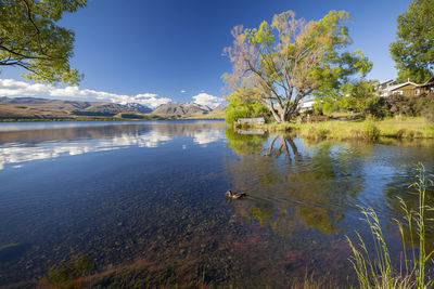 View of a lake, lake alexandrina, tekapo