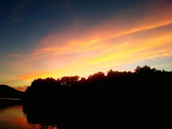 Silhouette of trees at sunset