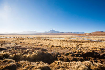 Scenic view of desert against blue sky