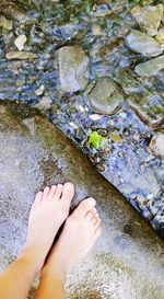 Low section of woman in water