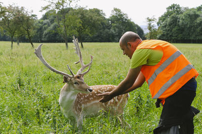 Side view of deer standing on field