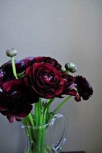 Close-up of red roses in vase against white background