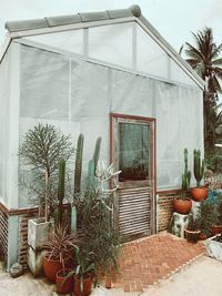 Potted plants outside building