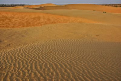 Sand dune in desert