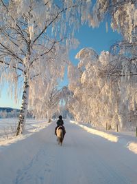 Rear view of person on snow covered mountain