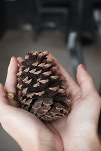 Close-up of hand holding bread